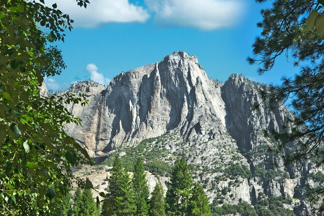 Yosemite Adventure: Full-Day Private Tour From San Francisco - Taking in the Beauty of Flowering Shrubs and Plants