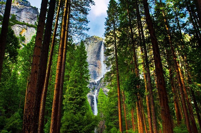 Yosemite Highlights: 5-Day Tour Review - Who Should Consider This Tour