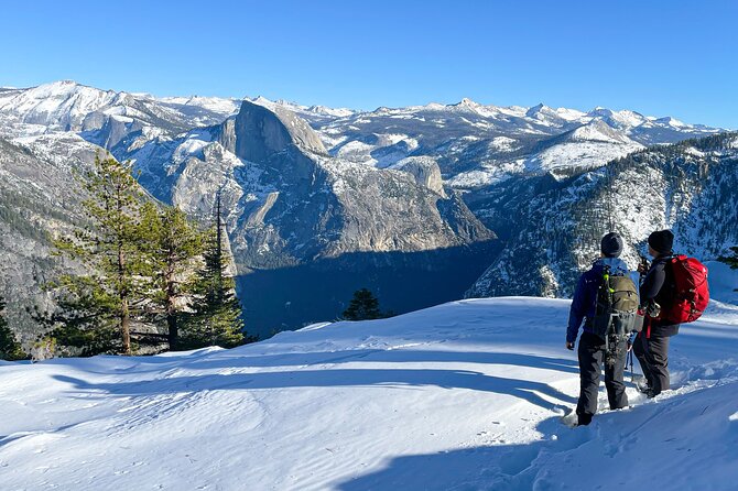 Yosemite Winter Wonderland Guided Hiking or Snowshoeing - The Joy of Private Tours for Your Group