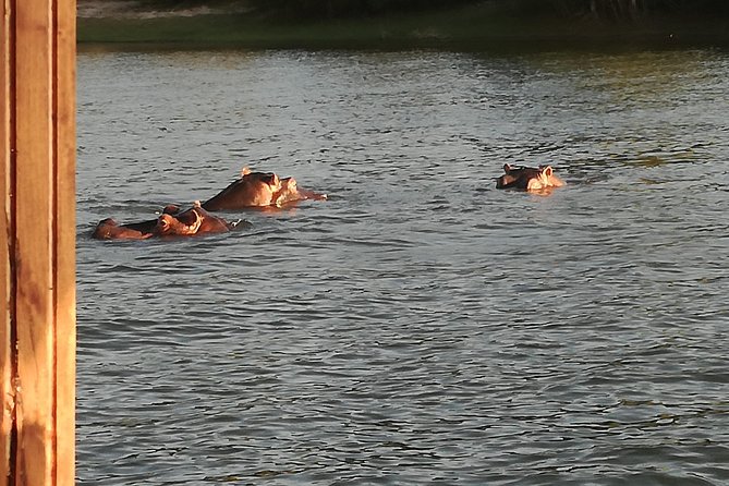 Zambezi Sunset Cruise - Victoria Falls - Customer Reviews