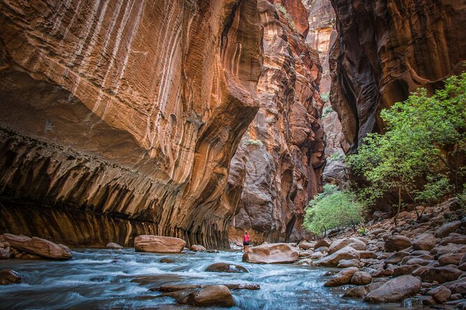 Zion National Park Day Trip Review - What to Expect During the Tour