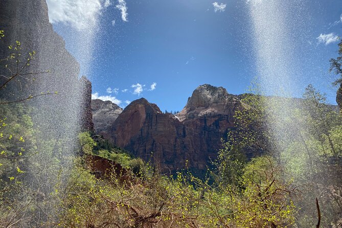 Zion National Park: Private Guided Hike & Picnic - Commitment to Personalization