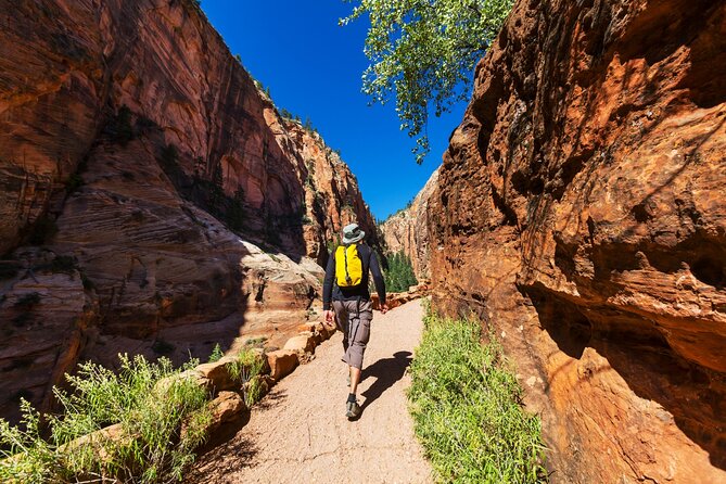 Zion National Park Self-Guided Tour Review - Value and Affordability