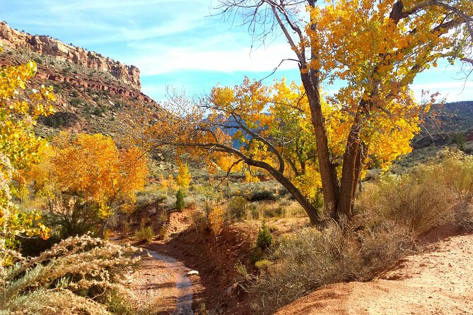 Zion UTV Morning Tour - UTV Specifications and Features