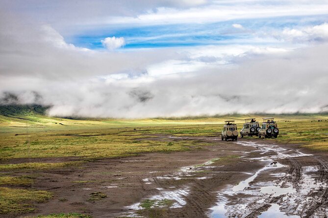 5 Days Private Budget Lodge Safari to Serengeti & Ngorongoro - Safari Highlights
