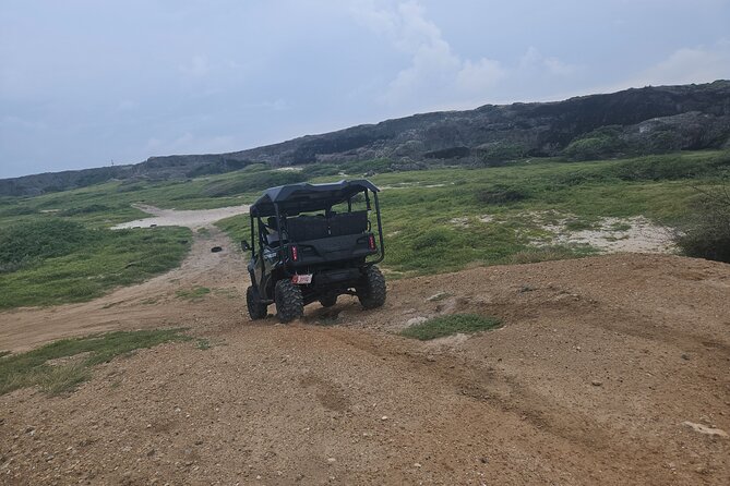 5-Seater UTV 4 Hours Island Tour in Aruba - Tour Highlights