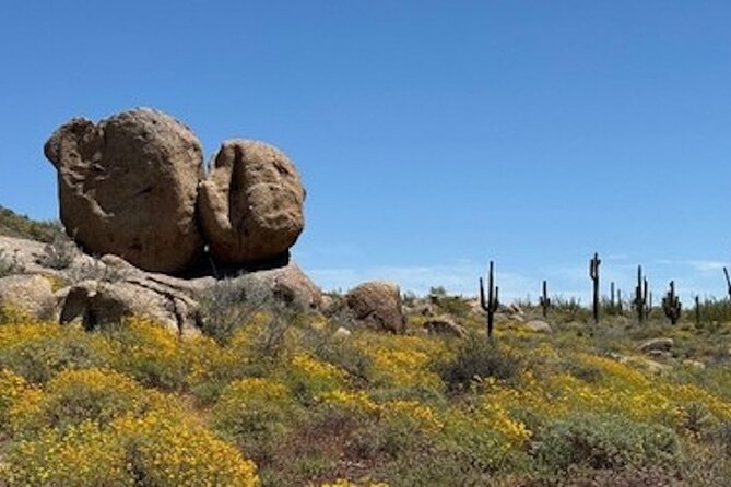 1-2 Hour Sonoran Desert Private Guided Hiking Tour - Exceptional Customer Reviews