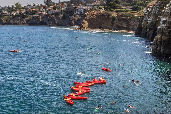 1.5 Hour Walking Tour From La Jolla in San Diego - Nearby Attractions and Parking