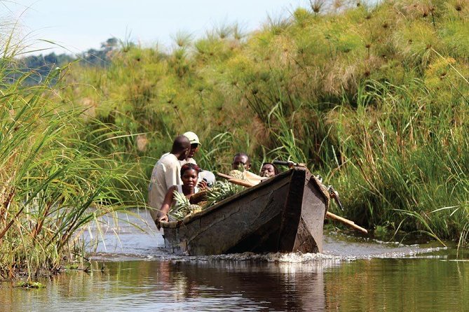 1 Day Mabamba (Shoebill) Bird Watching Tour - Shoebill & Canoe Tour - Customer Reviews
