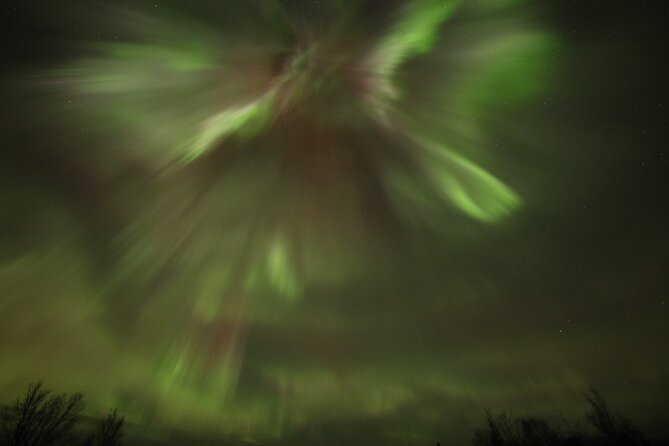 1 Day Shared Tour Arctic Circle and Aurora Viewing in Alaska - Customer Feedback