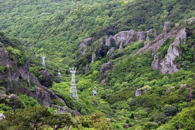 1-Day Shodoshima Island Bus Tour - Exploring Shodoshima Island