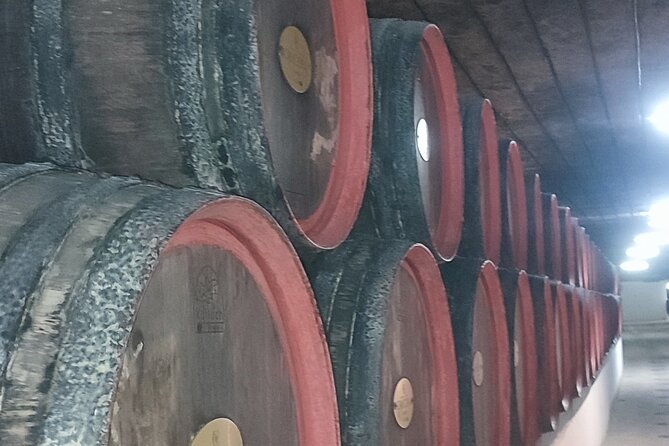 1 Day: Wine Tasting Tour to Milesti Mici and Cricova Cellar From Moldova - Exploring Milesti Mici Winery