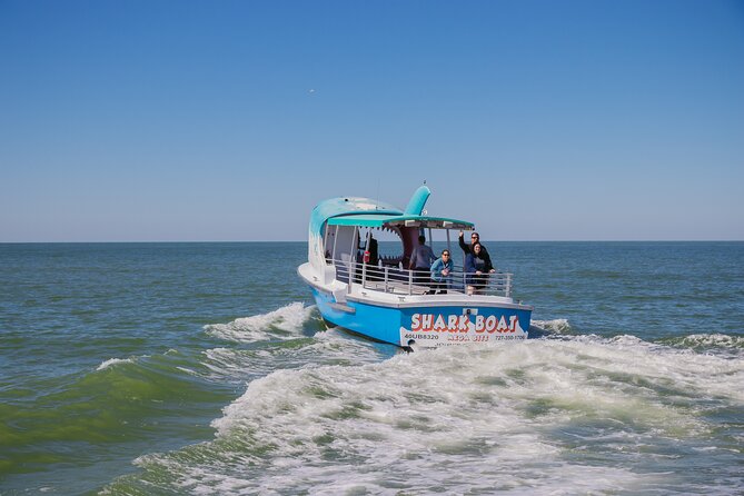 1-Hour Dolphin Sightseeing Adventure Cruise From Madeira Beach - Accessibility and Participation