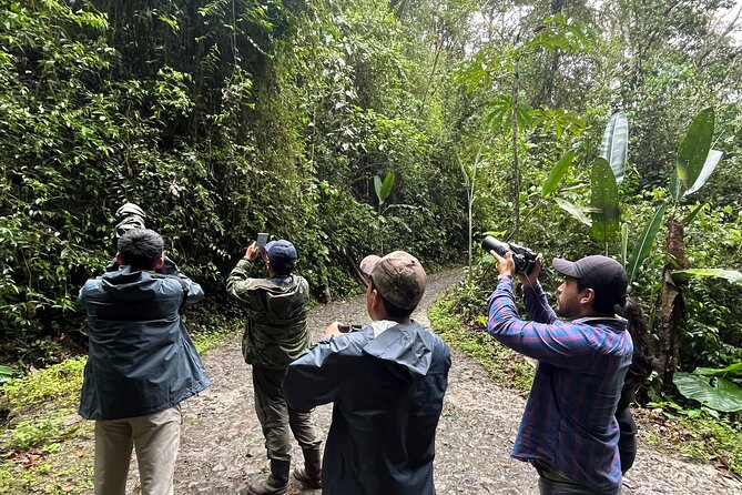 10 Days Birding Photo Tour From Andes to Amazon of Ecuador - Health and Safety Considerations