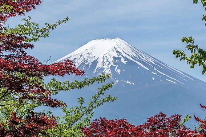 10 Days In-depth Discover Japan Deluxe Tour - Transportation and Transfers