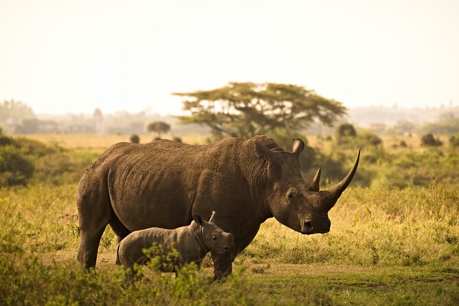 11 Days Aberdares, Samburu, Naivasha, Masai Mara & Diani Luxury Kenya Holiday - Participation Requirements