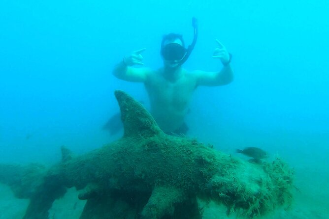 2 ½ - Hour Guided Snorkel Tour of Phil Foster Park, Free Videos! - Customer Reviews and Feedback