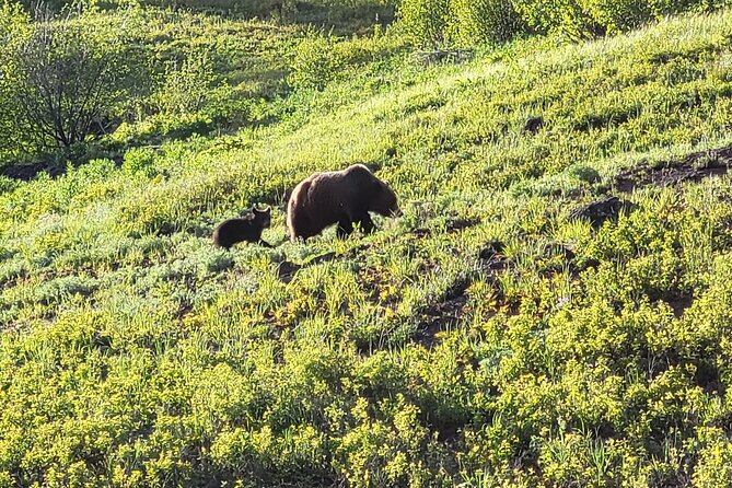 2 Day 1 Night Yellowstone With Expert Guide - Reviews