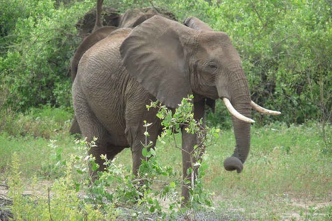 2 Days Lodge Safari. - Pickup and Meeting Point