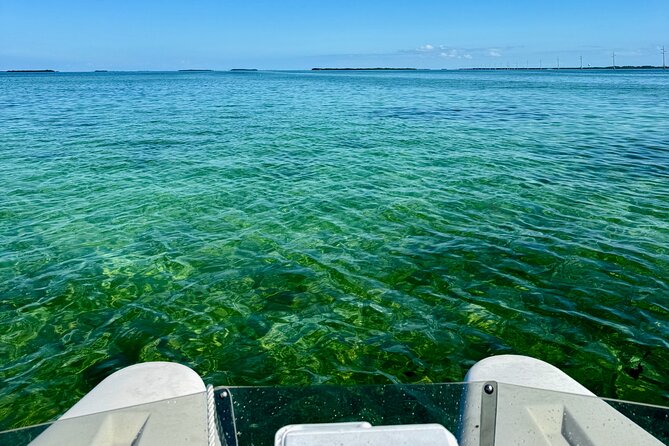 2 Hour Key West Mini Catamaran Tour Review - Suitability