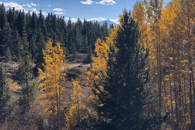 2-Hour Mineral Belt Guided E-Bike Tour in Leadville - Safety Guidelines for Participants