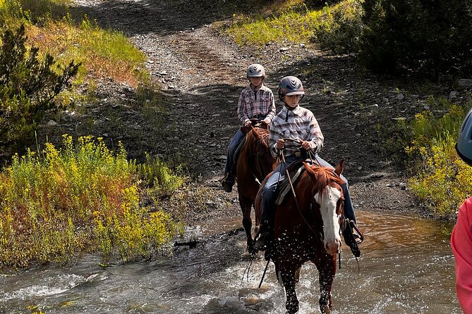 2 Hour Trail Ride in Montana Review - Recommendations and Considerations