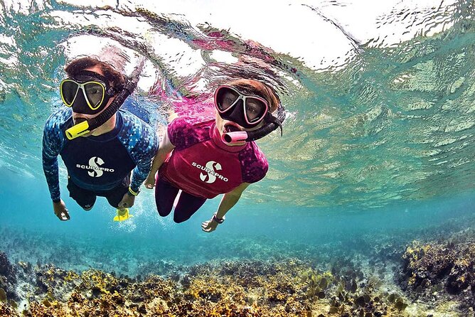 24 Hour Rental Snorkeling Gear [Mask, Snorkel, Fins] - Customer Reviews