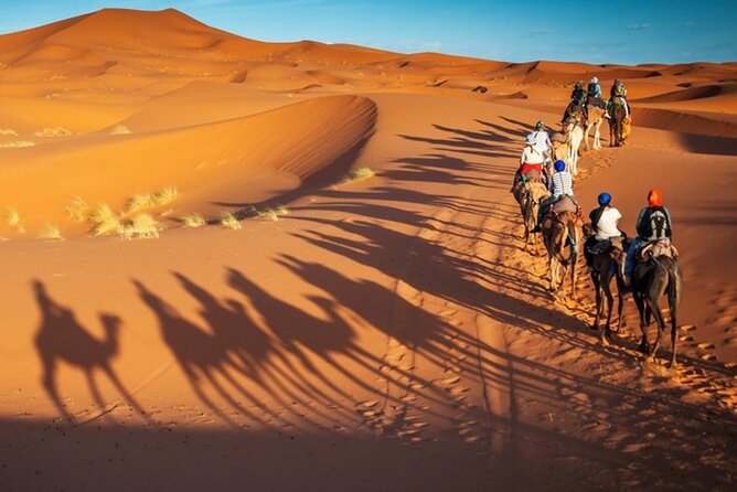 3 Days Desert Tour From Marrakech To Merzouga Dunes & Camel Trek - Pricing Information