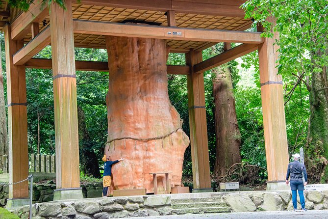 3-Days Experience to Feel the Nature of Aso - Day 2: Trekking the Daikanbo and Kusasenri