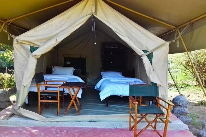 3 Days Maasai Mara Budget Safari - Customer Reviews