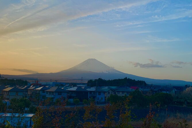 3-Hour Gotemba Food and Nightlife Izakaya Walking Tour - About the Destination