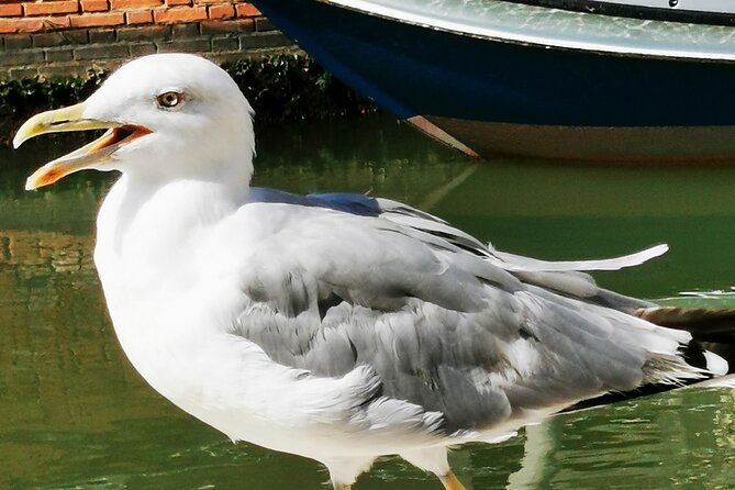 3-Hour Guided Tour of History, Art and Legends in Venice - Booking Information