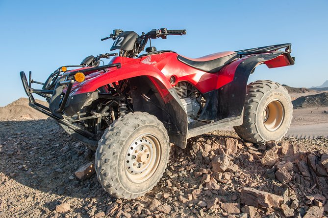 3 Hours Safari Afternoon By ATV Quad & Camel Ride With Transfer - Marsa Alam - Guest Reviews and Feedback