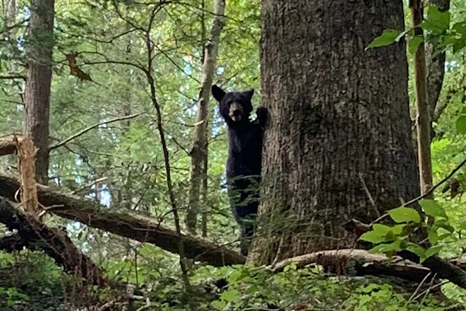 3 HR Smoky Mountain, Cherokee, Blue Ridge Parkway, Jeep Adventure - What to Bring