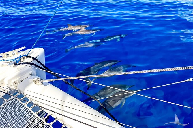 3hr Luxury Private Sailing Catamaran in Waikiki for 1 to 6 People - Pricing Structure