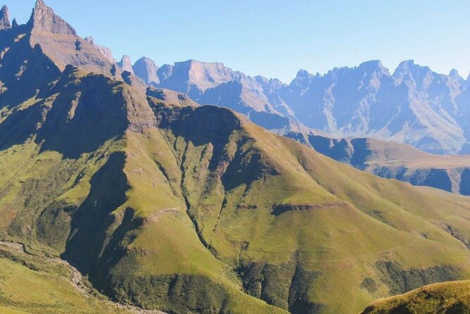 4 Day Addo Elephant National Park & Garden Route From Cape Town - Traveler Reviews and Testimonials