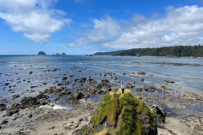 4-Day Olympic Backpacking Tour in North Coast - Things To Known