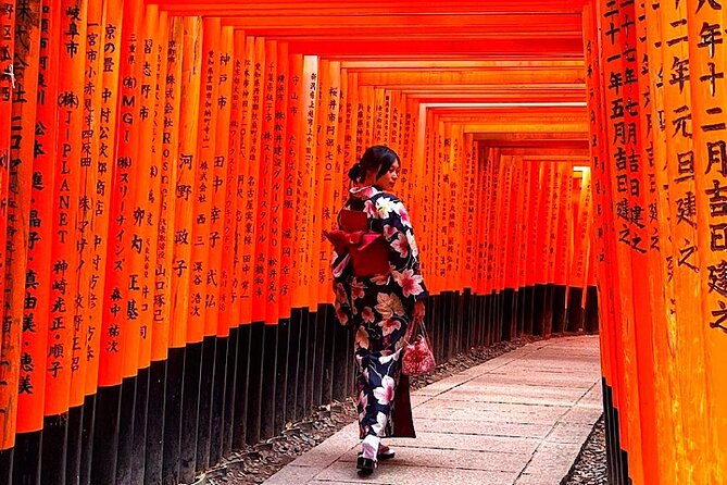 4-Day Private Kyoto Osaka Nara Sightseeing Tour With Guide - Tour Itinerary Day 2