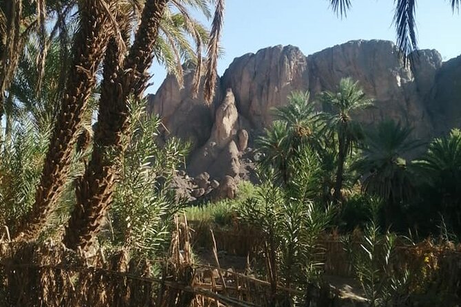 4 Days Tour Merzouga (Sahara Desert) - Accessibility Options