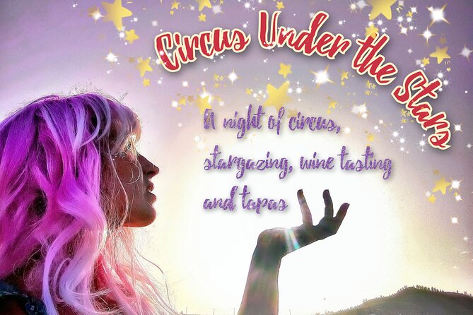 4-Hour Circus Under the Stars - What to Expect