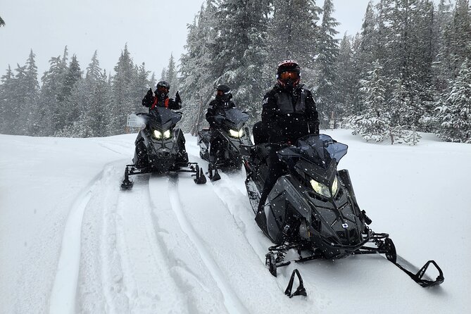 4-Hour Guided Scenic National Monument Snowmobile Tour Review - Booking and Cancellation Policy
