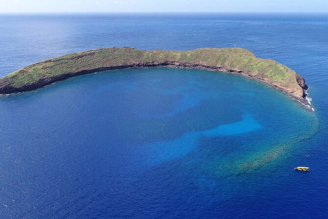 4 Hour Molokini Snorkel Tour Adventure in Maui - Customer Feedback