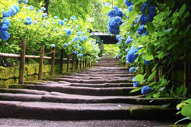 4-Hour Private Tour of Kamakura With Government-Licensed Guide - Booking Information