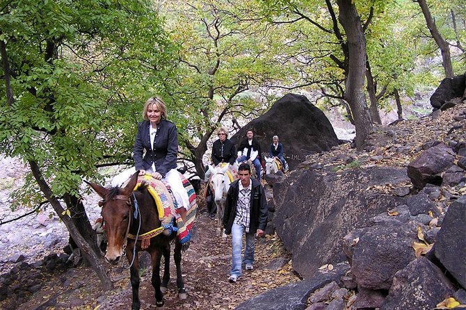 4 Hours Trekking in the Atlas Mountains From Marrakech - Booking and Cancellation Guidelines