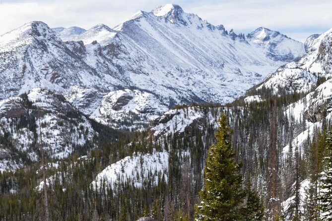 4 Hr Private Wildlife Hiking Tour in Rocky Mountain National Park - Cancellation and Reservation Policies