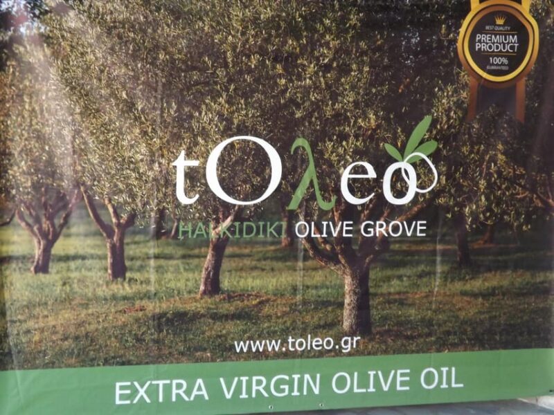 45 Min. Olive Oil Workshop in Kriopigi - Halkidiki. - The Sum Up