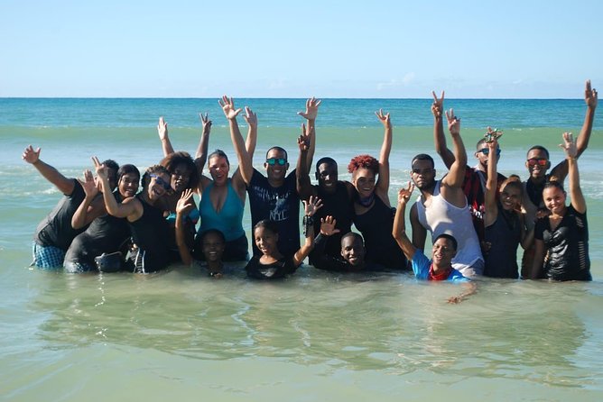 4WD Terracross + Breef Safari + River Cave and Macao Beach - Safari and Local Experiences