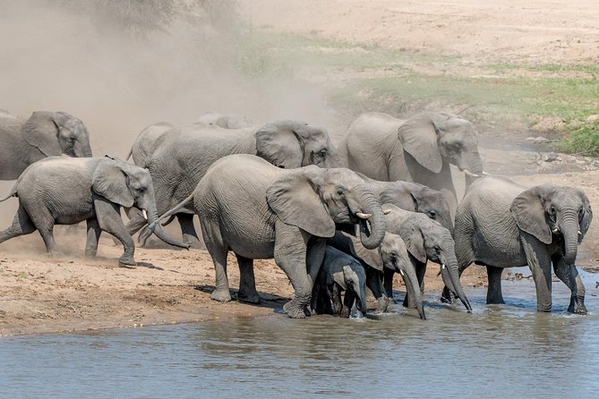 5 Day Wildlife Photographic Safari - Kruger National Park - B1 Photo Safaris - Transportation Services