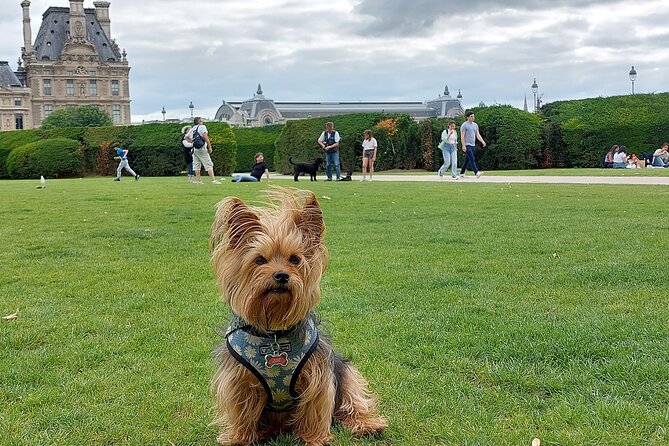 5 Days in Paris: Guided Tour With an Expert Francophile - Booking and Payment Information