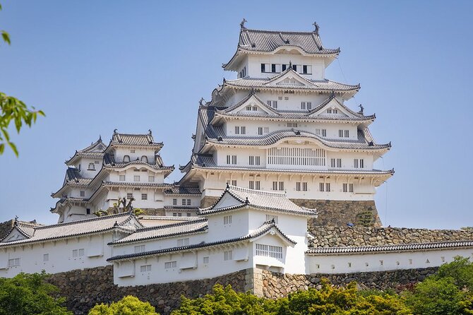 6 Day Private MINIBUS Tour to Kyoto via Fukui From Fukuoka - Highlights of the Tour